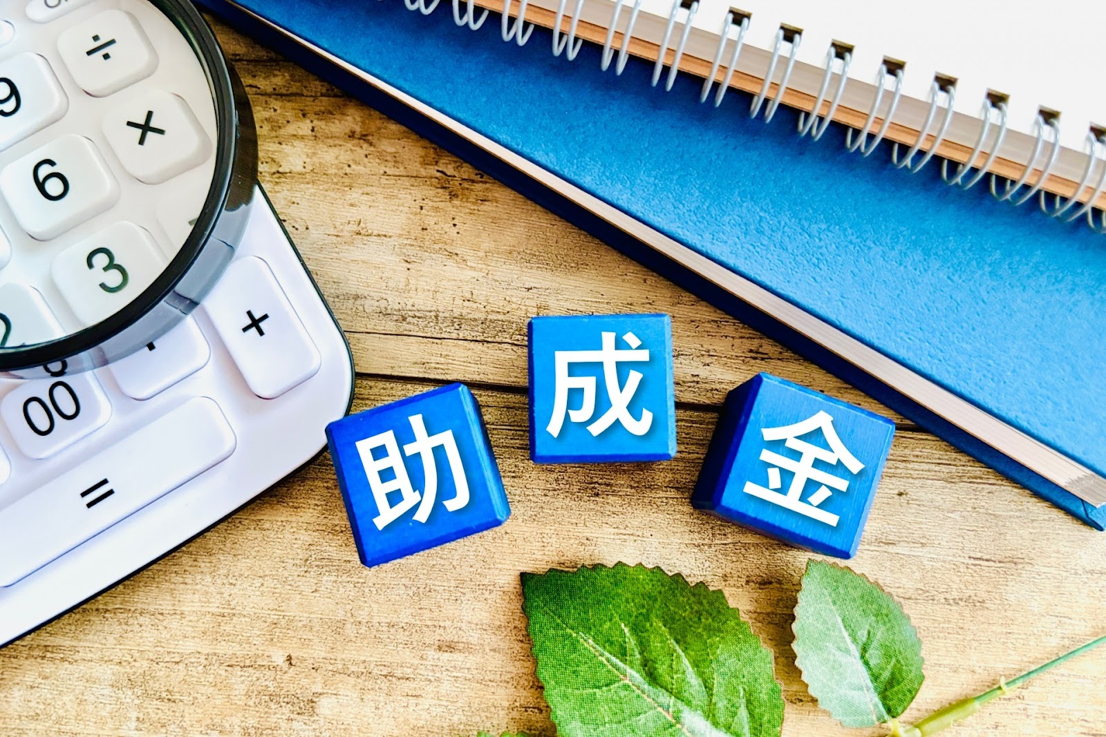 【助成金】開業時から使える助成金一覧